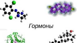Galvenās hormonu funkcijas cilvēka organismā